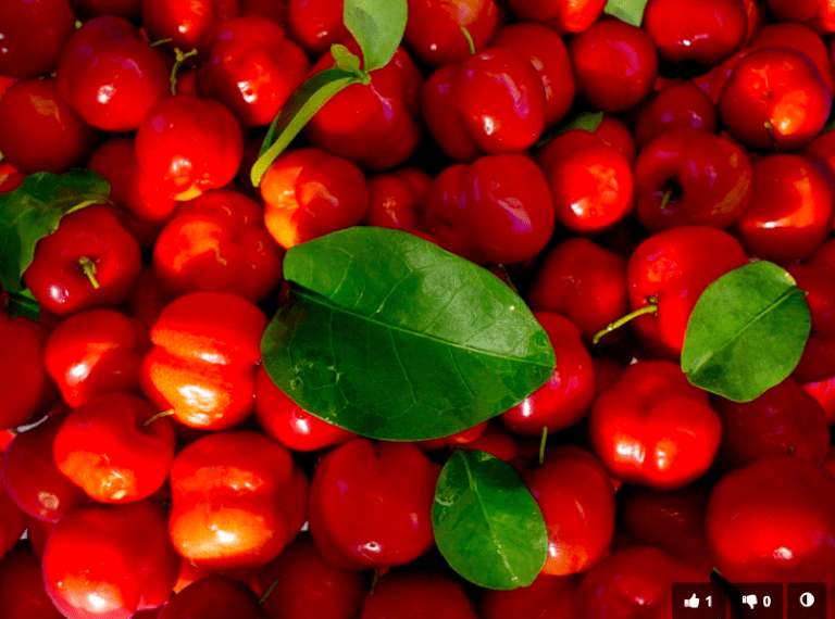 Acerola- Rich in Vitamin C and Minerals