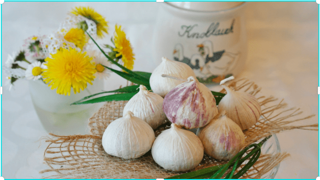 Can Garlic be the next superfood-Eating Raw Garlic everyday