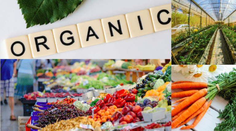 Arthritis- Can organic food be healing?