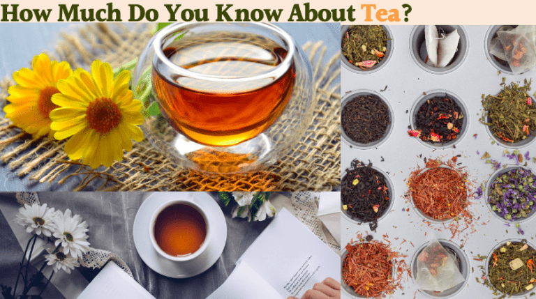 FAQ with Tea Expert