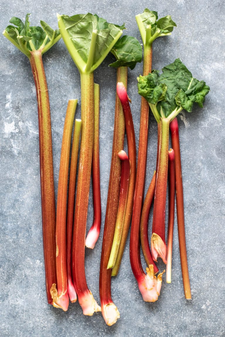 Rhubarb-A herb less known