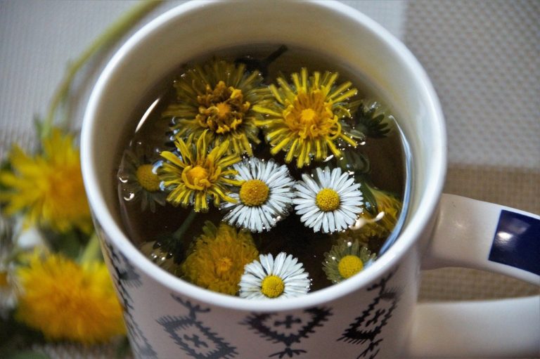 Are Detox Tea Worth It?